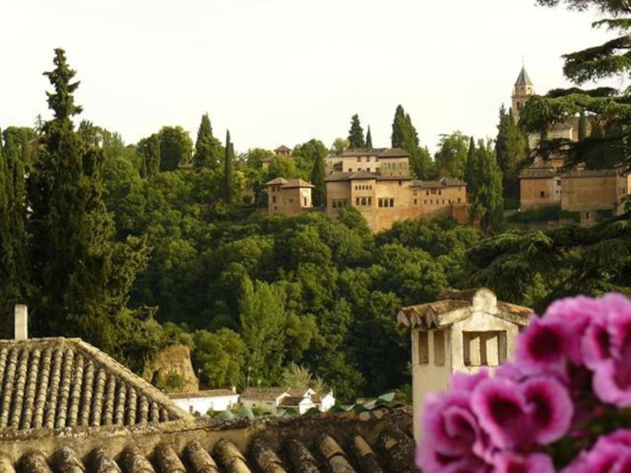 グラナダMirador Alhambra - 2 Private Terraces - Wifi -アパートメント エクステリア 写真