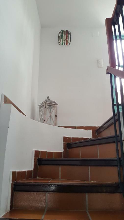 グラナダMirador Alhambra - 2 Private Terraces - Wifi -アパートメント エクステリア 写真