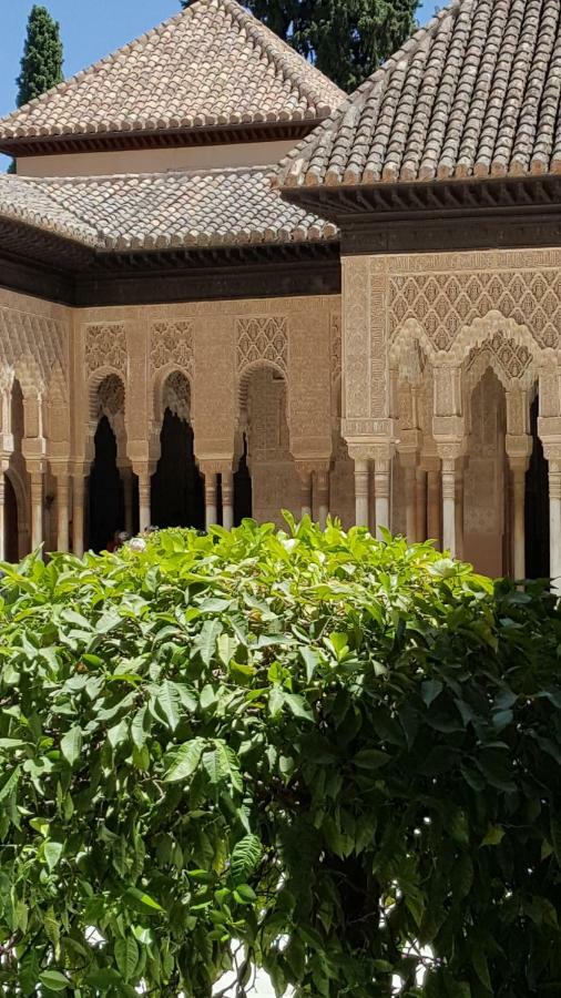 グラナダMirador Alhambra - 2 Private Terraces - Wifi -アパートメント エクステリア 写真